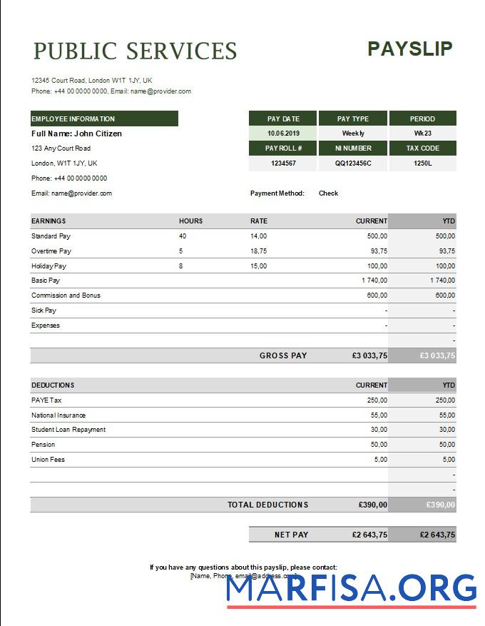 Blank Public services corporation payslip template
